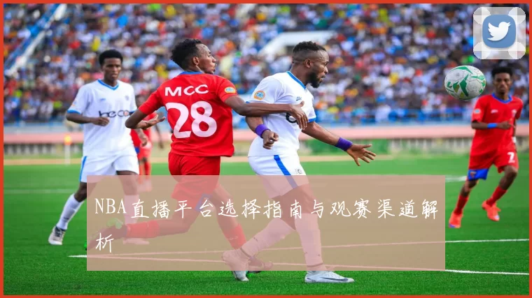 NBA直播平台选择指南与观赛渠道解析