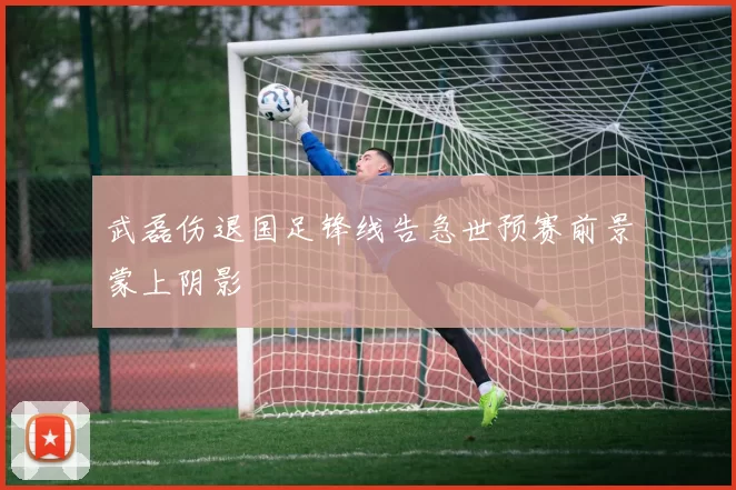 武磊伤退国足锋线告急世预赛前景蒙上阴影