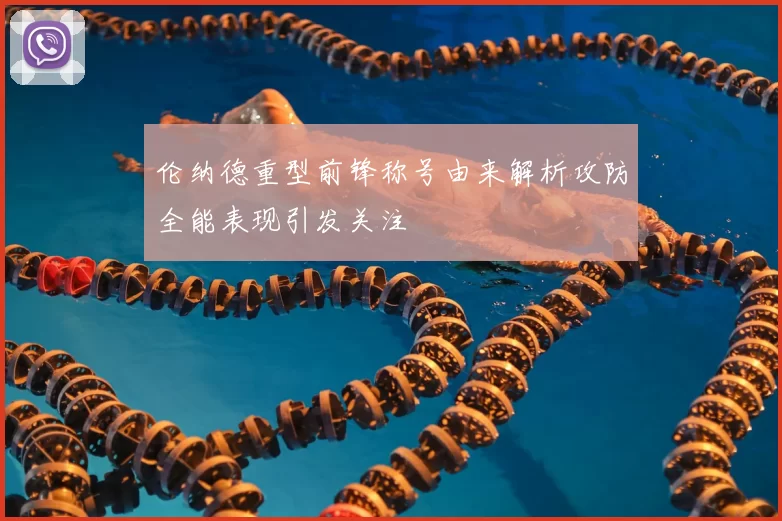 伦纳德重型前锋称号由来解析攻防全能表现引发关注