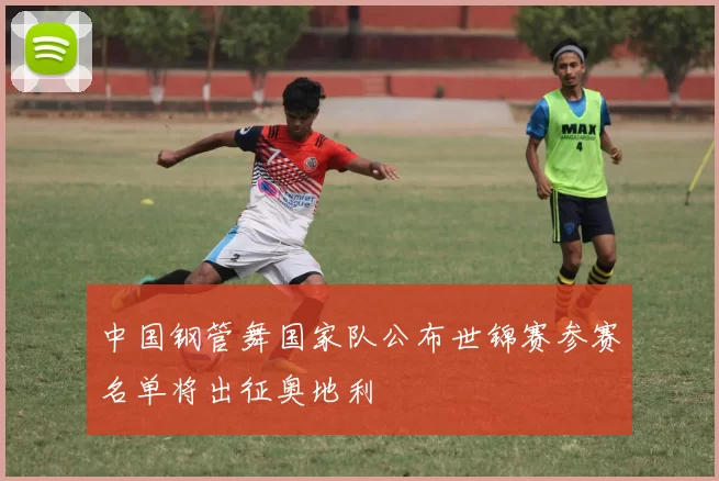 中国钢管舞国家队公布世锦赛参赛名单将出征奥地利