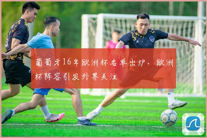 葡萄牙16年欧洲杯名单出炉,欧洲杯阵容引发外界关注